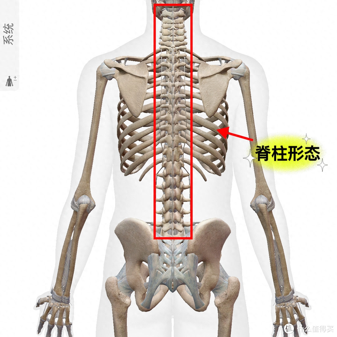 _腰部疼痛预防及康复训练_如何预防腰痛病的再次发生